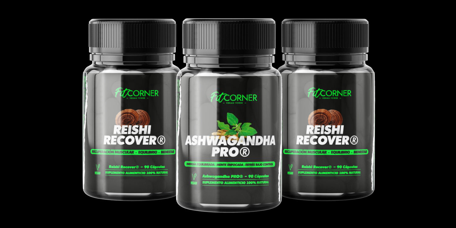 Recuperación y Bienestar